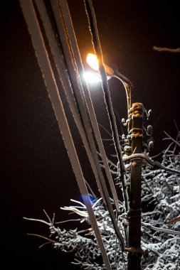 Geceleri sokak lambasının altında kar ve kablolar var.