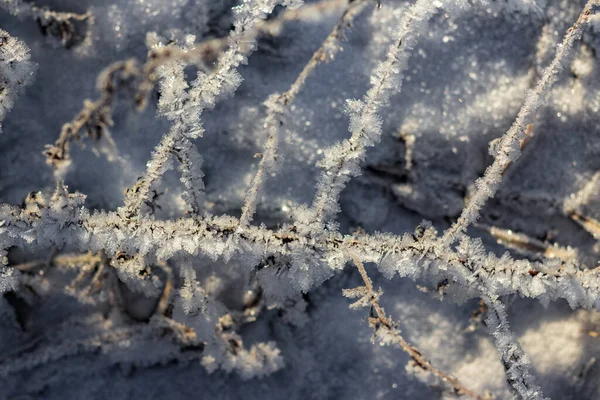 Трава Покрыта Кристаллическим Морозом Время Зимних Морозов Зимний Фон — стоковое фото
