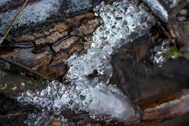 Kışın derede çam biçimli buz büyür. Soyut buz arkaplanı