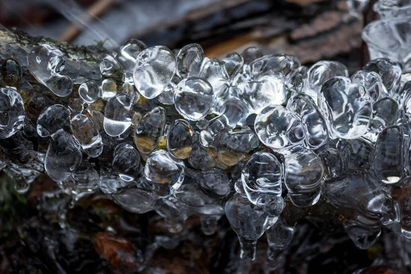 溪流里长着松树状的冰 摘要冰背景 — 图库照片