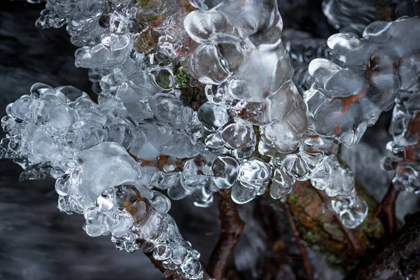 Crescimentos Gelo Forma Pinheiro Córrego Inverno Fundo Gelo Abstrato — Fotografia de Stock