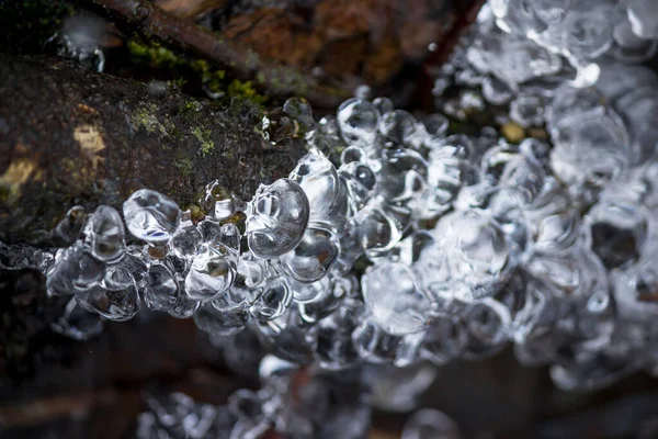 Crescite Ghiaccio Forma Pino Torrente Inverno Sfondo Ghiaccio Astratto — Foto Stock