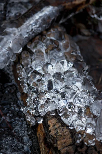 Crescimentos Gelo Forma Pinheiro Córrego Inverno Fundo Gelo Abstrato — Fotografia de Stock