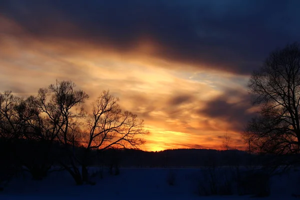 Pôr Sol Colorido Atrás Das Coroas Das Árvores Inverno — Fotografia de Stock