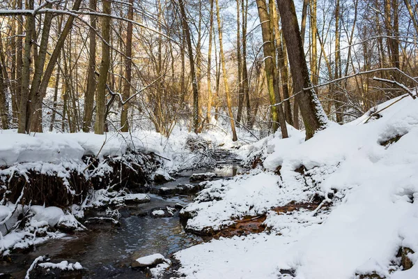 Strumień Leśny Zimowym Lesie Mała Rzeka Biały Śnieg — Zdjęcie stockowe