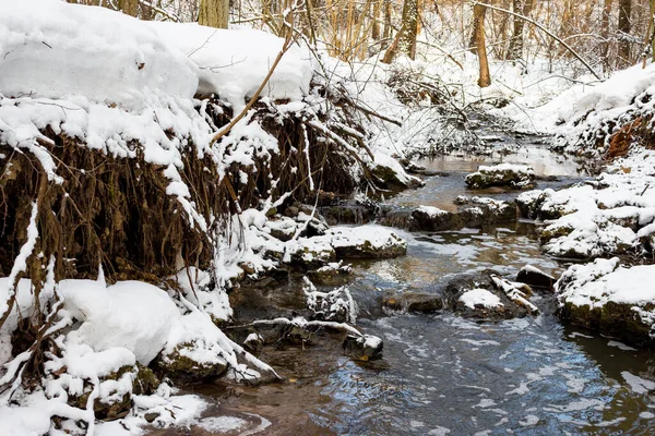 Strumień Leśny Zimowym Lesie Mała Rzeka Biały Śnieg — Zdjęcie stockowe