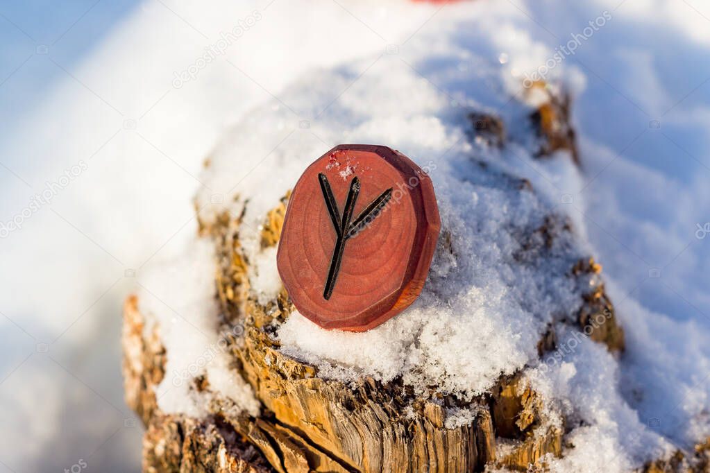 Rune inverted Algiz Elhaz carved from wood in the snow