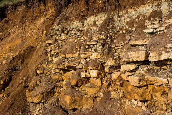 Una Rebanada Rocas Sedimentarias Arcilla Carbonífera Piedra Caliza Cubiertas Parte — Foto de Stock
