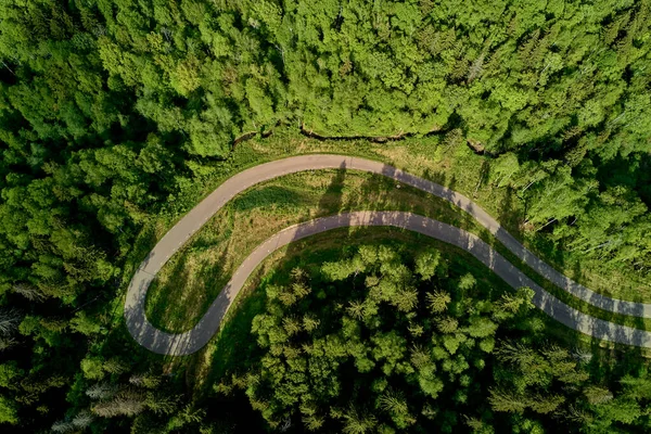 Sharp turn on forest track, roller ski track in wilderness, aerial view