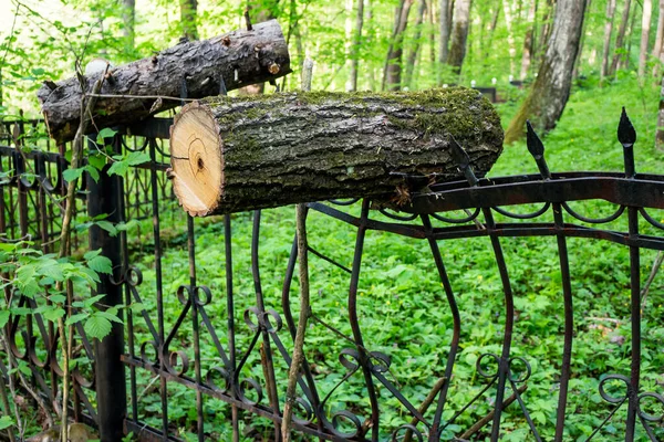 Bir Ağacın Düştüğü Eğri Büğrü Metal Bir Çit Güçlü Bir — Stok fotoğraf