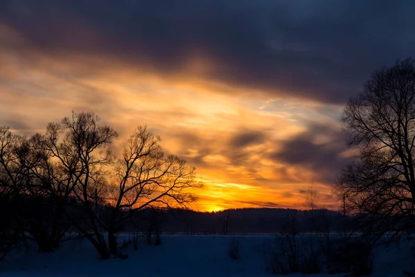 冬天的树冠后面 是美丽的夕阳西下 — 图库照片