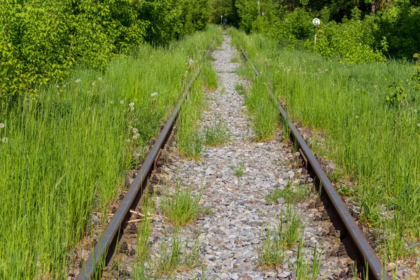 Old Railway Tracks Gravel Overgrown Grass — Zdjęcie stockowe