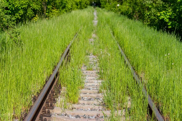 Železniční Kolejnice Pražce Hojně Zarostlé Zelenou Trávou Opuštěné Železniční Tratě — Stock fotografie