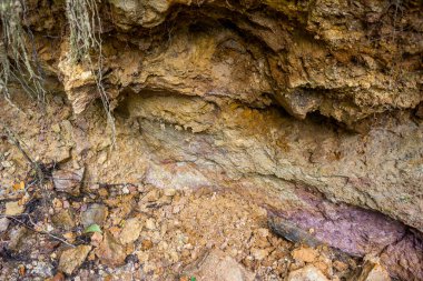 Çamur bir vadide, tortul kayalarda ortaya çıkıyor.