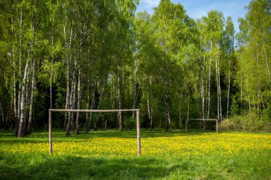 Ormandaki futbol sahası karahindiba ile kaplıydı.