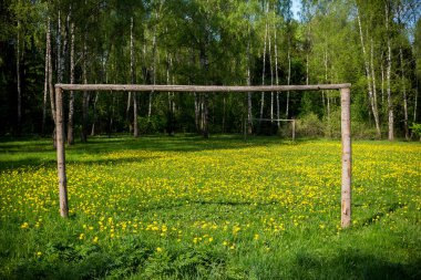Ormandaki futbol sahası karahindiba ile kaplıydı.