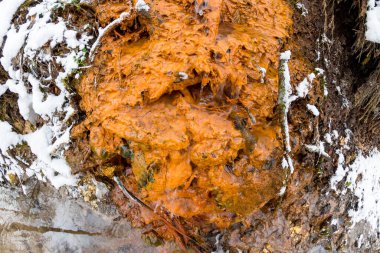 Turuncu renkli, yırtıcı mineral yayı. Repinka Akıntısı, Obninsk, Rusya