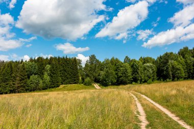 Resimli bölgedeki kırsal yol, tarlası ve ormanı olan güzel bir manzara.