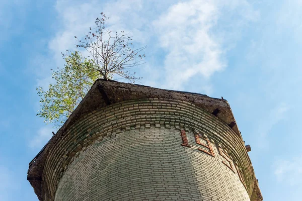 Old Water Tower Built 1950 Tree Roof Territory Military Town — Stock Photo, Image