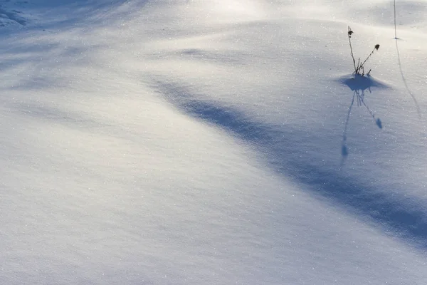 Υφή Της Χιονισμένης Φύσης Μια Χειμωνιάτικη Μέρα Λευκό Χιόνι Και — Φωτογραφία Αρχείου