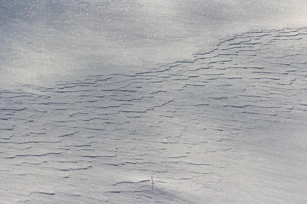 Texture Snowy Nature Winter Day White Snow Shadows — Stock Photo, Image