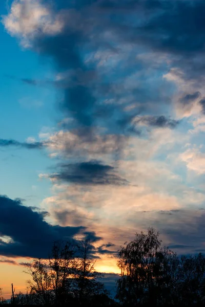 Pôr Sol Céu Azul Fundo Das Árvores Vista Vertical — Fotografia de Stock