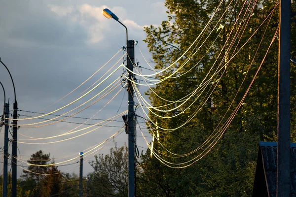 Strom Und Kommunikationsdrähte Von Der Sonne Beleuchteten Masten lizenzfreie Stockbilder