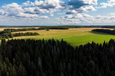 Ormanda insansız hava aracı uçuşu, mavi gökyüzünün altındaki yeşil tarlaların ve ormanların manzarası.