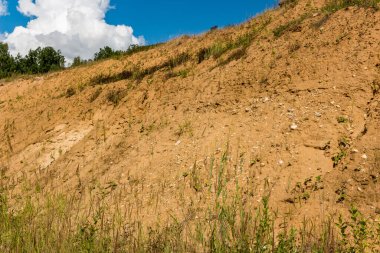Kumlu yamaç birkaç metre yüksekliğinde, bir kum çukurunun kenarında.