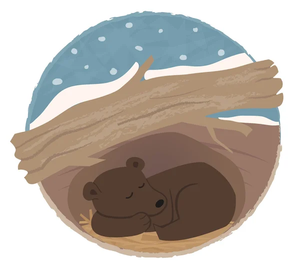 Cute Bear Hibernating — Stock Vector