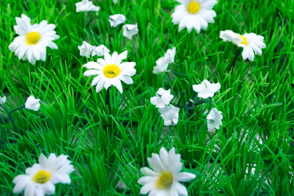 Plastic Grass and Flowers (2) — Stock Photo, Image