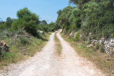 Ülke Dirt Track (2)