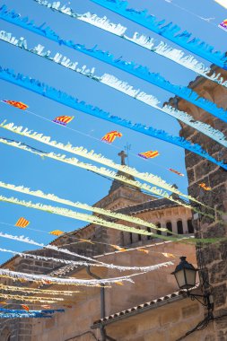 İspanyolca street kiraz kuşu (3)