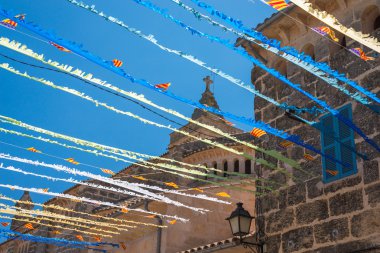 İspanyolca street kiraz kuşu (4)