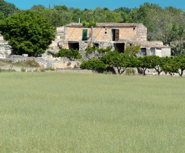 İspanyol ülke sahne (5)