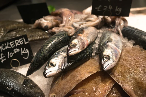 Pesce fresco in vendita nel negozio con ghiaccio — Foto Stock