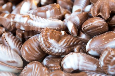 Çikolata Sealife şekilleri