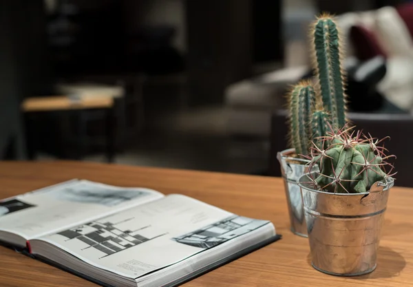 Cactus, livre et table — Photo