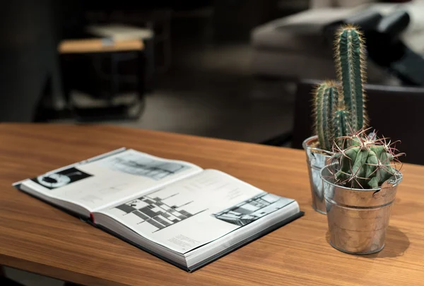 Cactus, livre et table — Photo