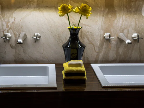 Double Luxury Sinks — Stock Photo, Image