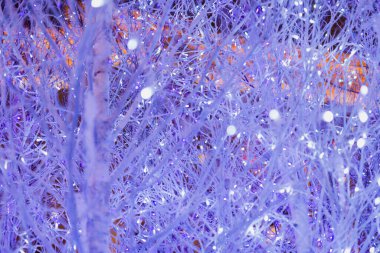 Parlak mor Noel ışıklarıyla süslenmiş ağaçlar. Sokak Yeni Yıl Aydınlatma