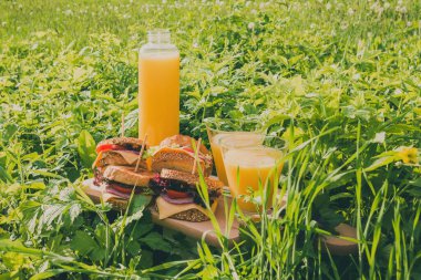Kızarmış sandviçlerle piknik ve yaz güneşli bir günde yeşil çimlerde iki bardak portakal suyu..
