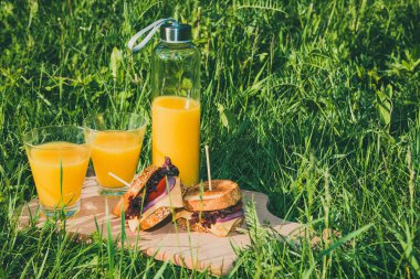 Kızarmış sandviçlerle piknik ve yaz güneşli bir günde yeşil çimlerde iki bardak portakal suyu..