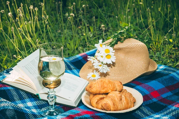 French style summer picnic with chamomile and croissants on a checkered plaid on sunny day