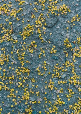 Nihai gri sokak zemininde sarı cilt bakımı. 2021 yılının modaya uygun renklerinde bahar dokuması