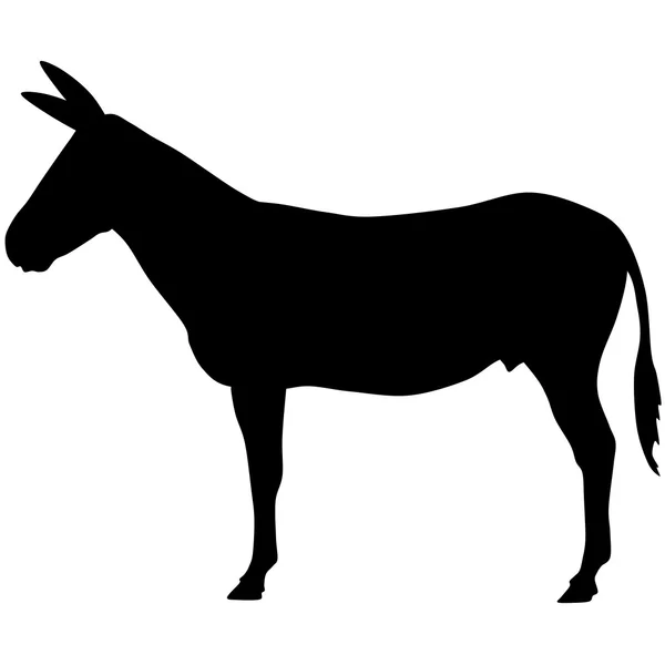 Silueta de un burro — Foto de Stock