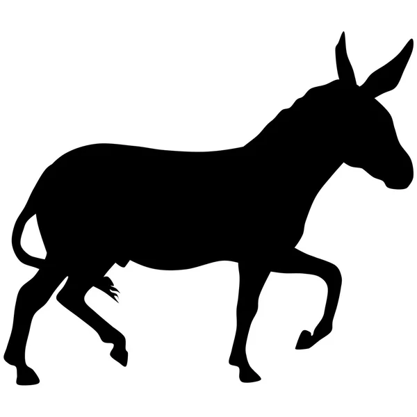 Silhouette of a donkey — Stock Photo, Image