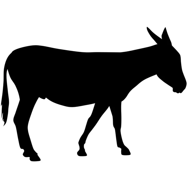 Silhouette of a donkey — Stock Photo, Image