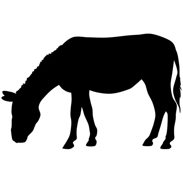 Silhouette of a donkey — Stock Photo, Image