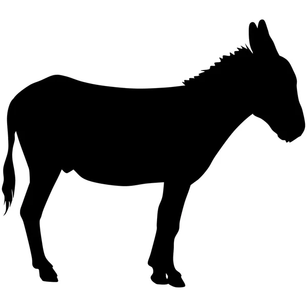 Silhouette eines Esels — Stockfoto
